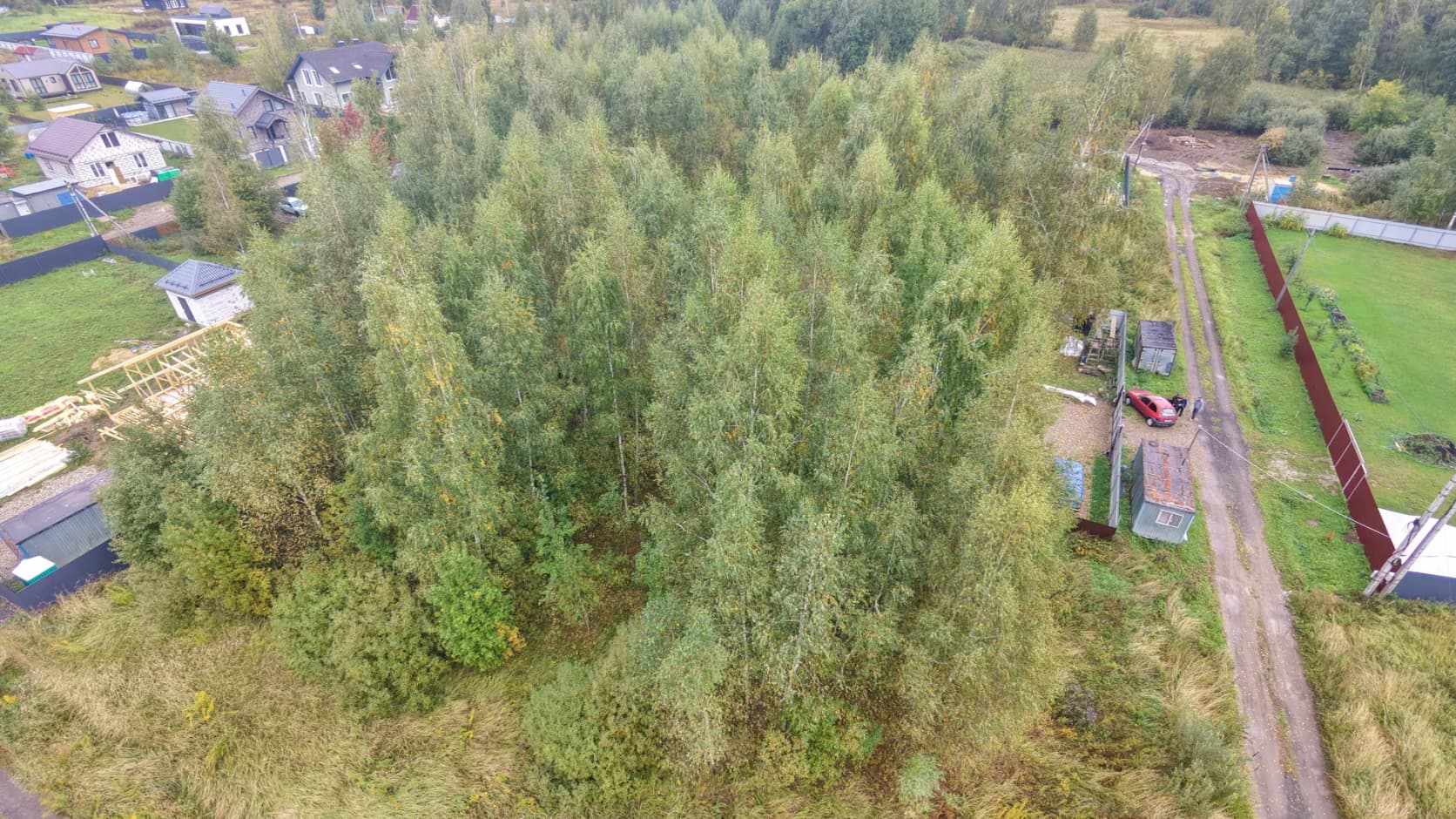 Начало: общий вид участка с густой древесной порослью